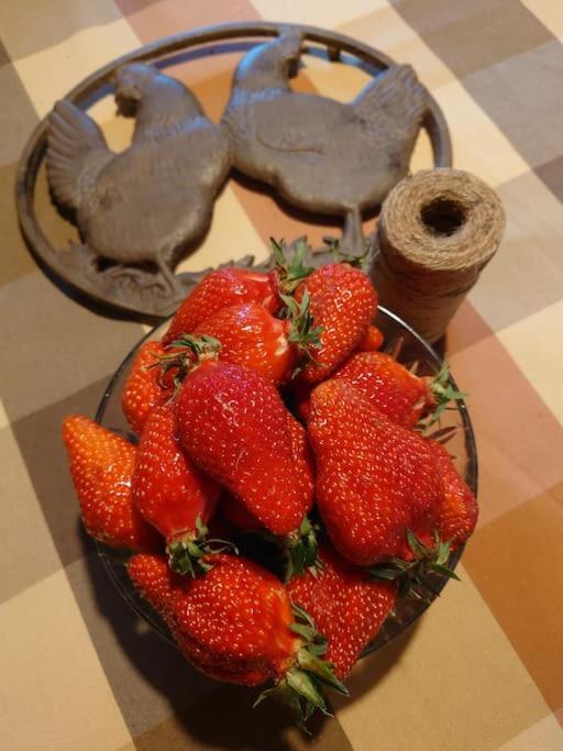 Entre Pierre Et Vigne - Charming Former Winery Farmhouse With Hot Tub & Swimming Pool Monestier  Esterno foto